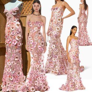 🆕 BRONX & BANCO 🧿 NWOT Jasmine Floral-Appliqued Gown, Pastel Pink SzXS US 2